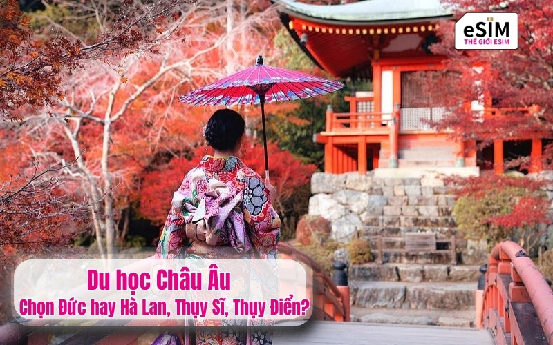 Lịch lá đỏ Nhật Bản 2026 mùa thu và giải pháp kết nối eSIM du lịch